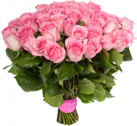 Розы Эквадор розовые